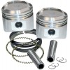 STD.REPL.PISTONS W/RINGS