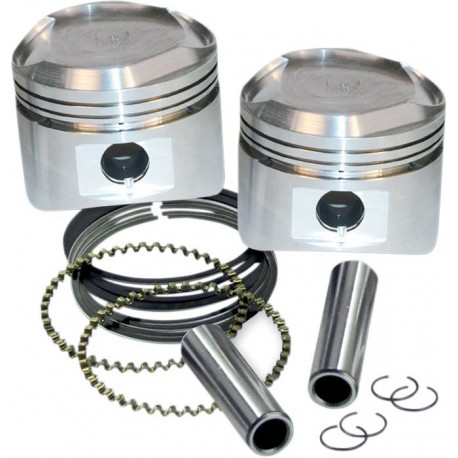 STD.REPL.PISTONS W/RINGS