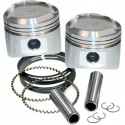 STD.REPL.PISTONS W/RINGS