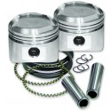 +.005REPL.PISTONS W/RINGS