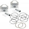 PISTON KIT 78-84 LC80"010