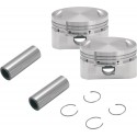 PISTON KIT 84-99 89" STD