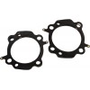 GASKETS HD 3.94 TC