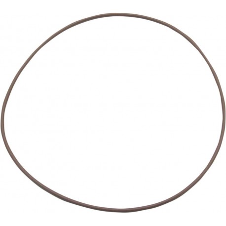 O-RING VITON (50-7961-S)