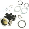 THROTTLE BDY 58MM 124 06-