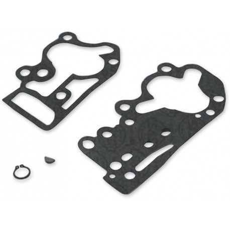 REPL.GASKETS F/DS-194061