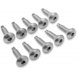 TORNILLO EFI MNT(1311D) 10PK