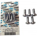 KIT DISCO DE FRENO TO HUB DRAG SPECIALTIES TRASERO CROMADO