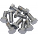 5/16-18X 3/4 CROMADO HEX HD