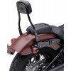 RESPALDO DETACHABLE COBRA RND FXLR