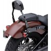 RESPALDO DETACHABLE COBRA MINI BK FXLR18