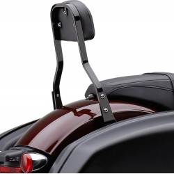 RESPALDO DETACHABLE COBRA SRT BK FLSB 19