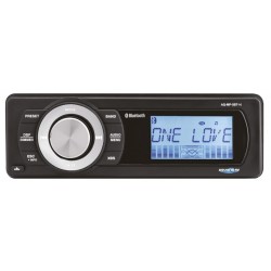 Equipo de Sonido Estereo Aquatic AV Bluetooth Basic Radio para HD FLH/T 98-13